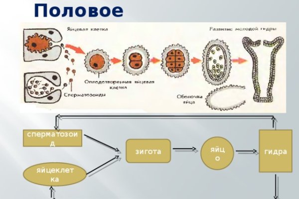 Кракен магазин ссылка